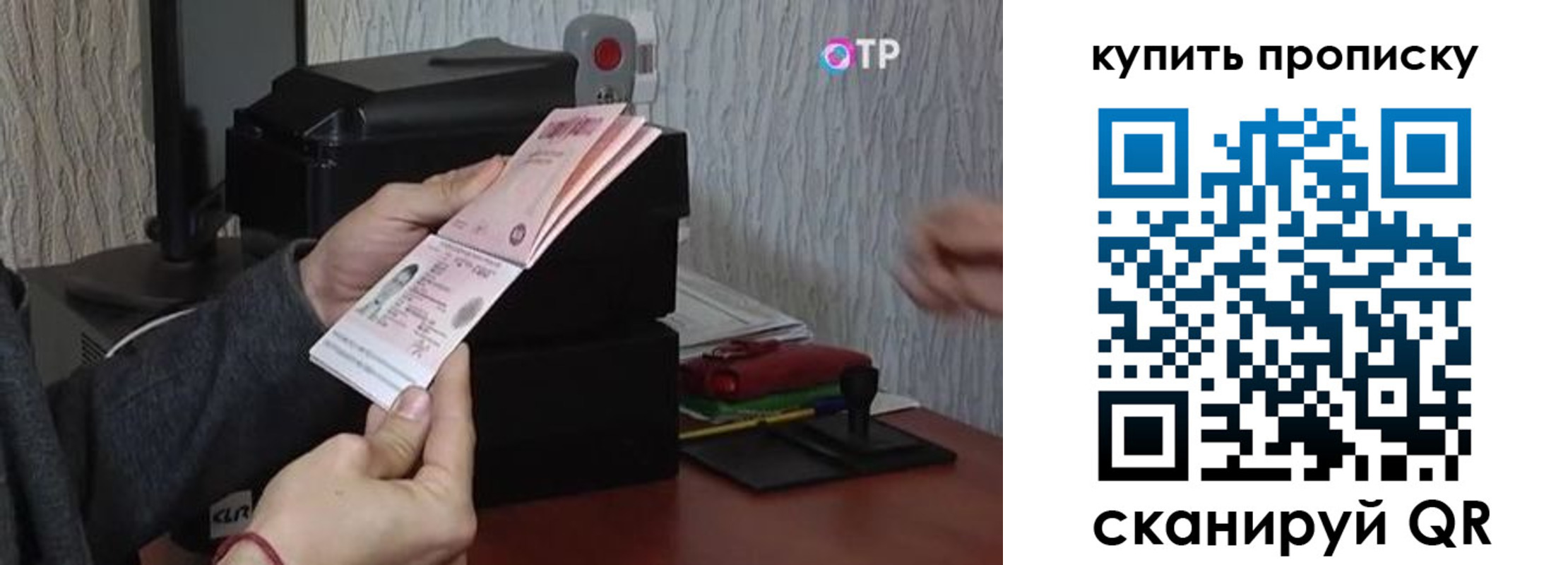 прописка гарантия в Стародубе